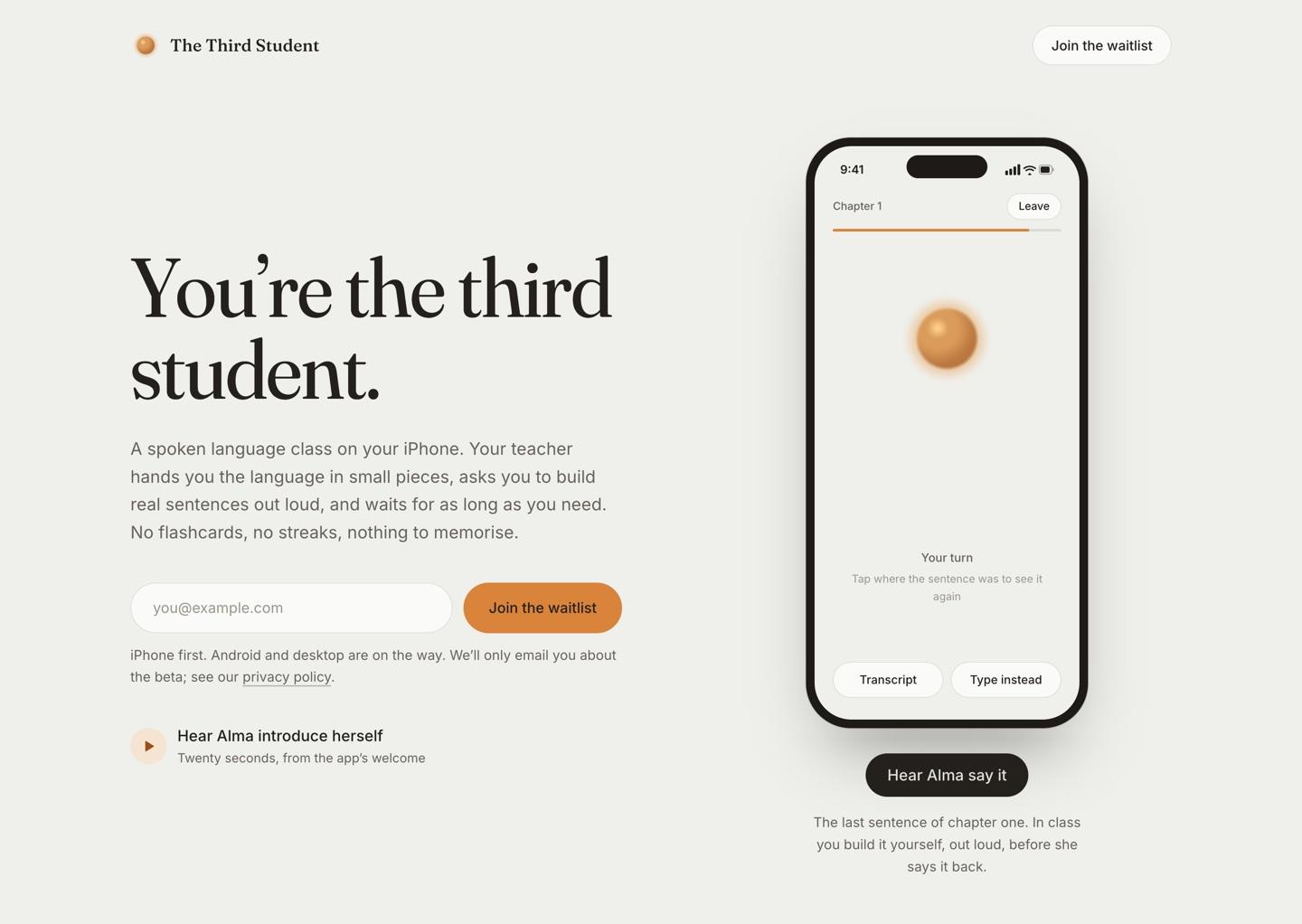 Screenshot of the The Third Student project